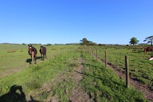 Land with horses- click for photo gallery